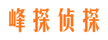 合山市私人调查